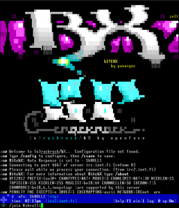 IrcII-pohjainen BitchX oli eräässä vaiheessa katu-uskottavin asiakasohjelma irkkitappeluihin.